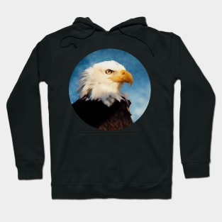 Eagle portrait Hoodie